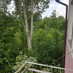 Le Nel Bosco