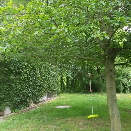 Bed & Breakfast Le Nel Bosco