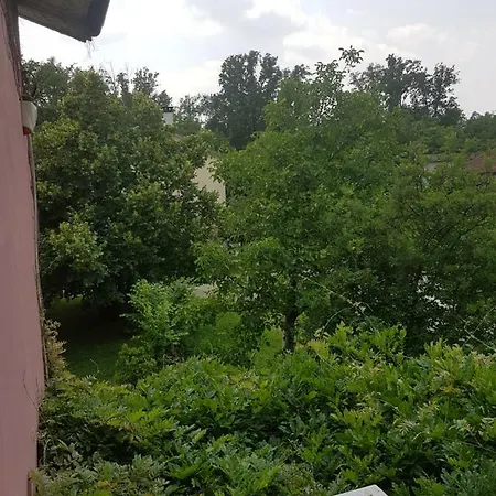 Le Nel Bosco Vanzago