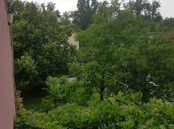 Le Nel Bosco Vanzago