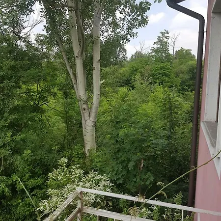 Le Nel Bosco
